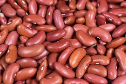 Compra de frijoles Compra de frijoles