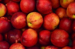 Compra de Manzanas Compra de Manzanas