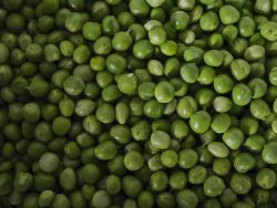 Precio de la compra de guisantes Precio de la compra de guisantes