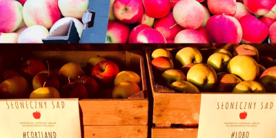 Manzanas en venta en cantidades minoristas y mayoristas. Actualmente