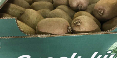 KIWI I GATUNKU DE GRECIA Vendemos una variedad de