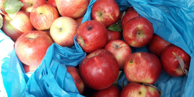 Compraré una manzana orgánica, una manzana sin residuo. Compraré