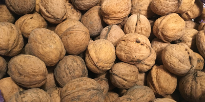 Nueces con cáscara. Venderé una nuez envasada en un