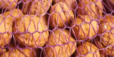 Venderé nueces, importación de Macedonia. Cantidades al por mayor.