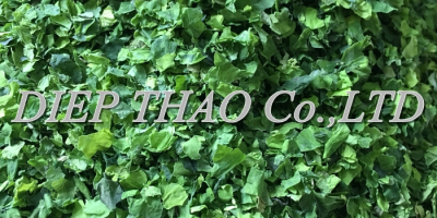 ESPECIALIZACIÓN DE ULVA LACTUCA SECADA: - Nombre del producto: