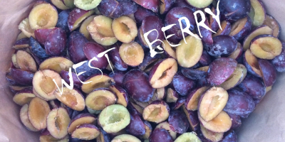 West Berry: venderemos una ciruela húngara congelada (mitades) de