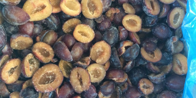 West Berry: venderemos una ciruela húngara congelada (mitades) de
