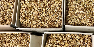Mitades de nogal al 30%, ligeras sin polvo Empaquetado: