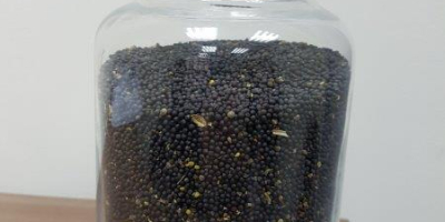 venta de contenido de aceite de colza 46%, 30