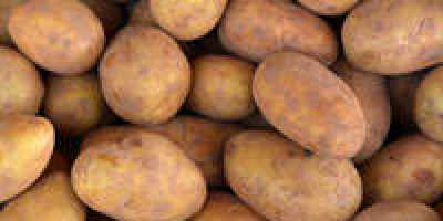 Nombre del producto Patatas frescas Color Amarillo, rojo Variedad