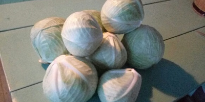 Comercializadora de la variedad mucsuma, 1-3 kg. La forma