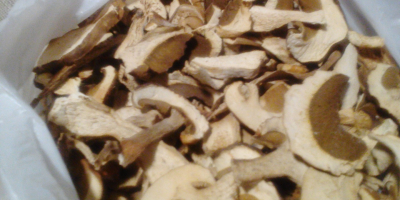 Boleto seco, 10 kg.