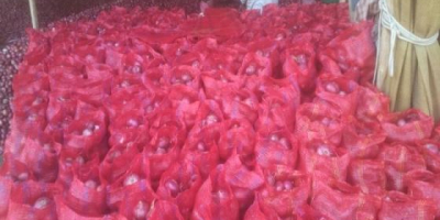 Las cebollas rojas, son cultivares de la cebolla, (Allium