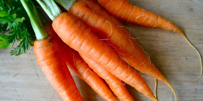 Venderé zanahorias frescas (whatsapp: +4565744605) por favor, póngase en