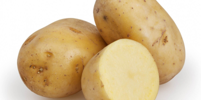 Nueva cosecha Patatas frescas Nombre del producto: Nueva cosecha