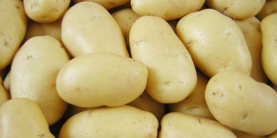 Patatas frescas de Dinamarca 1. Especificaciones: 1) 50-100 g