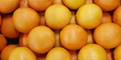 VENDERÉ NARANJA, NARANJA, VARIEDAD - ¡PRECIO DE VALOR CON