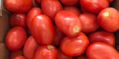 Nuestra empresa es un importante proveedor de productos agrícolas