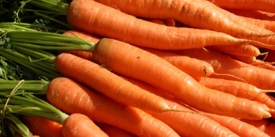 Cebolla fresca de calibre 5+, zanahorias frescas, papas viejas,