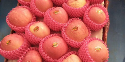 Nombre: Manzana Fuji, Manzana Fuji fresca, Manzana Fuji roja,