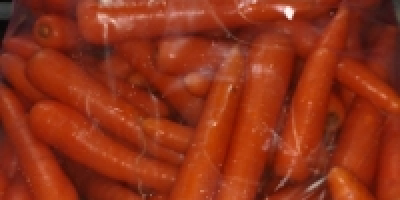 En venta, Zanahoria joven, origen España. Embalaje: bolsa grande