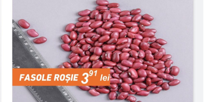 Frijoles rojos, cantidad 20 toneladas, sacos 50kg, precio con