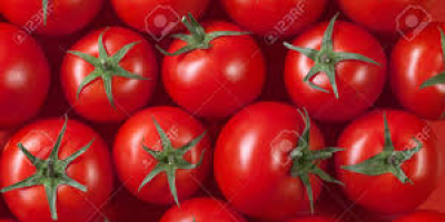 Somos los principales productores de todo tipo de verduras