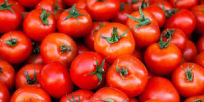 Somos los principales productores de todo tipo de verduras