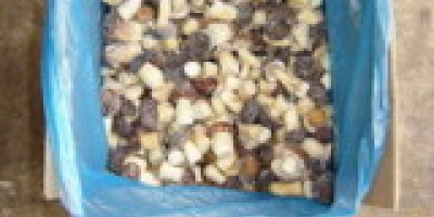 Producto: hongo seco del bosque negro Especificaciones Material: hongo