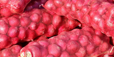cebolla fresca: embalaje: 10 kg / 20 kg bolsa