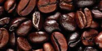 Los granos de café secos, proporcionados por nosotros, son