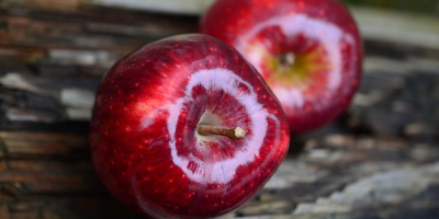 MANZANAS FRESCAS ROJAS, VERDURAS Y FUJI Empaquetado y entrega