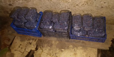 Tengo a la venta fruta dulce y fresca de