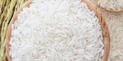 El arroz blanco es arroz molido al que se