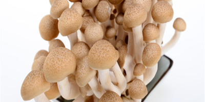 Hypsizygus Marmoreus Mushrooms Package: 150g * 40 / ctn,