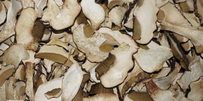 Boletus secos, 10 kg.