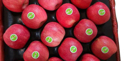 Manzana roja fresca de Fuji de primera calidad disponible