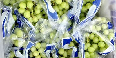 Uvas frescas sin semillas a la venta. Contáctenos a