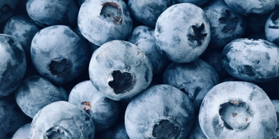 Venderé arándanos alrededor de 1 tonelada Embalado 3 kg