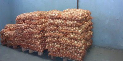 Hola Tengo a la venta 1.500 kg de cebolla