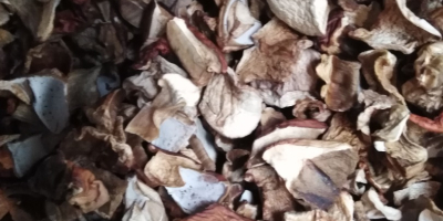 Venderé hongos porcini secos. Precio por kg PLN 20.