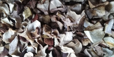 Venderé hongos porcini secos. Precio por kg PLN 20.