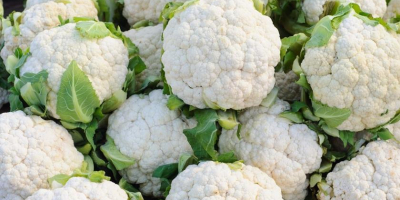 Venderé coliflor. Hermoso blanco grandes cantidades. El resto de