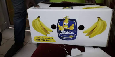 Hola, tenemos bananas de excelente calidad disponibles. Contáctenos directamente