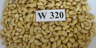 Especificación de anacardo: Nombre del producto: Anacardo Clase: W450,