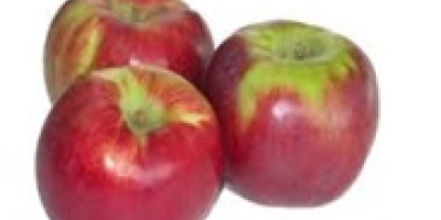 Compraré una manzana de postre para clasificar o más