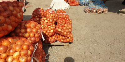 Cebolla, País de origen: Uzbekistán, Embalaje: bolsas de 30