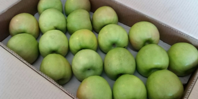 Granny Smiths, tamaño de manzana 65+, calibrada y empacada