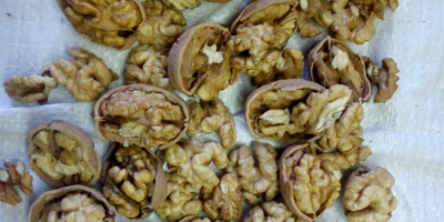 Tengo a la venta nueces de la cosecha de