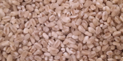 Venderé trigo blanco descascarillado (en forjado), 20 toneladas